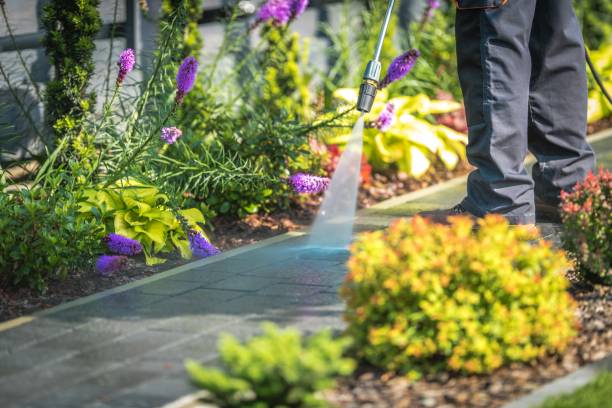 Best Animal Enclosure Cleaning  in Newberry, FL
